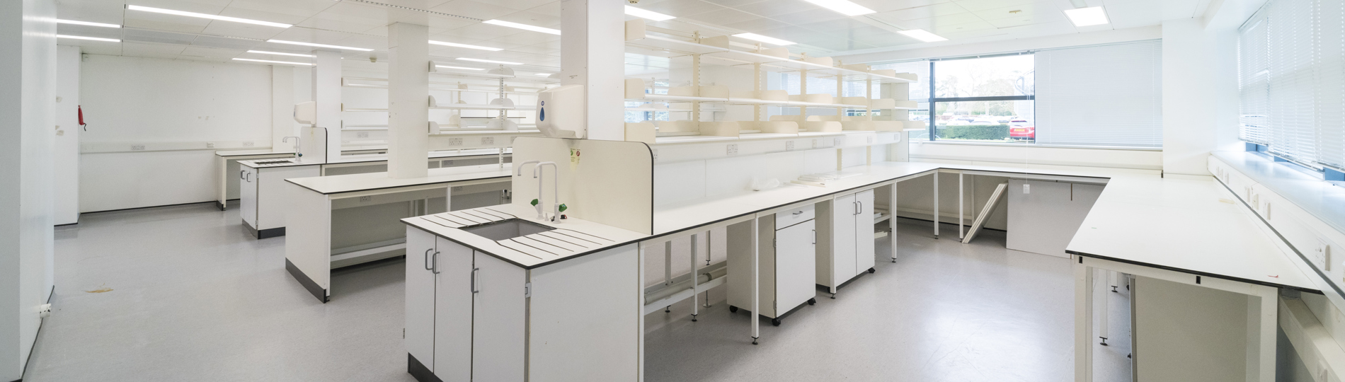 Minerva_Scalelab1-1.jpg
