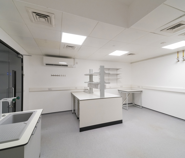 Minerva_Scalelab3-6.jpg