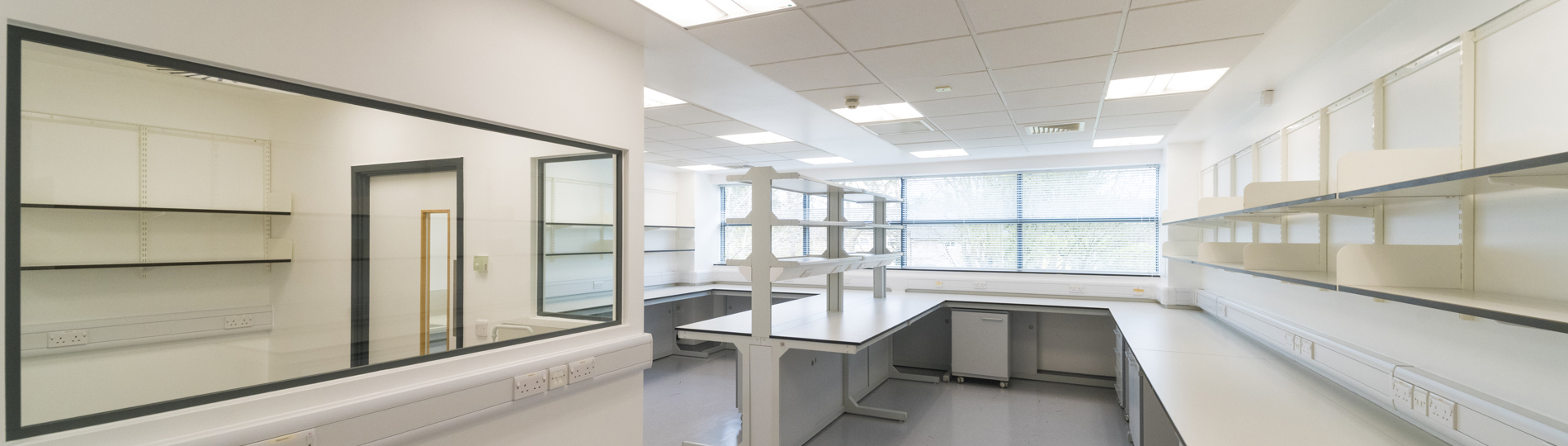 Moneta_Scalelab7-1.jpg