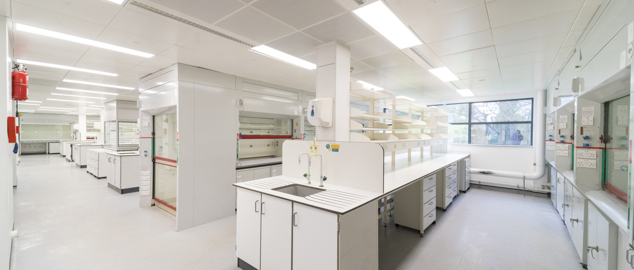 Minerva_Scalelab3-3.jpg