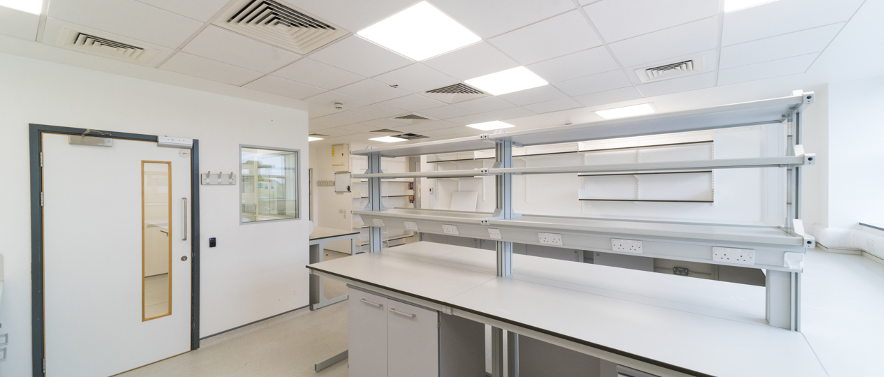Eddeva_Scalelab1-8.jpg
